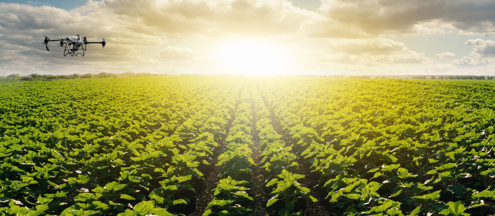 How Ag Spray Drones are Changing Agriculture